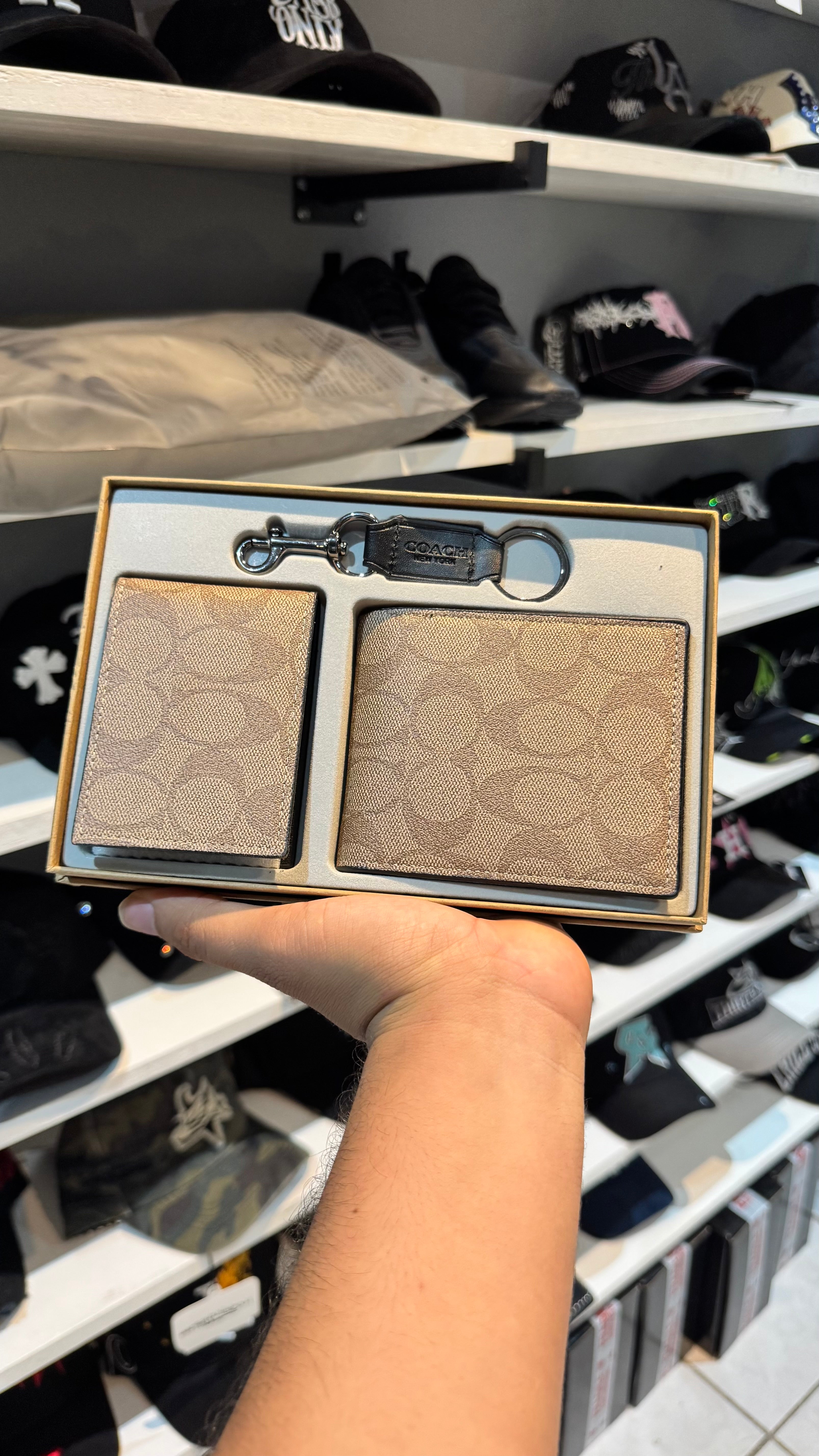 Set Coach Café Claro